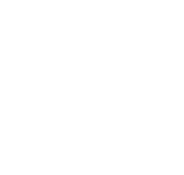 <p>King’s Trust</p>