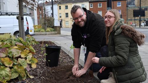 Animal Care students planting trees on the College campus