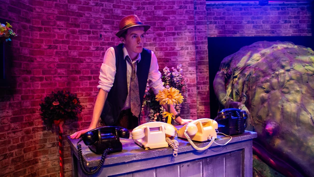 Photo from the Little Shop of Horrors theatre production