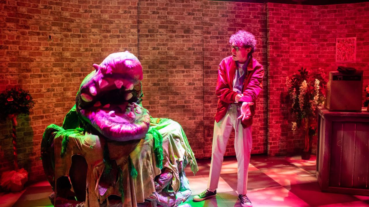 Photo from the Little Shop of Horrors theatre production